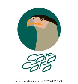 bird caracara head vector illustration