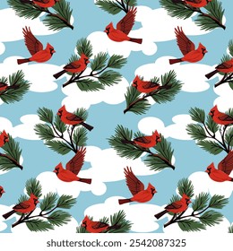 Bird Cardinal on coniferous branches.Vector pattern with cardinal birds on coniferous branches with cones.