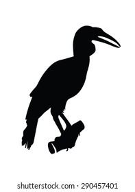 bird carnivore silhouette