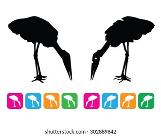 bird carnivore silhouette
