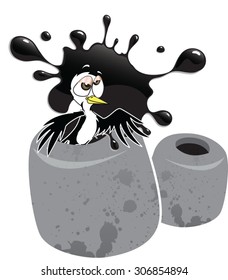 bird cartoon