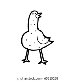 bird cartoon