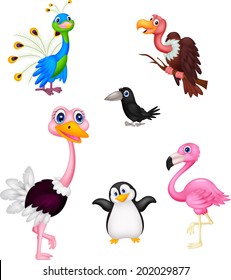 Bird cartoon collection