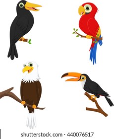 Bird cartoon collection