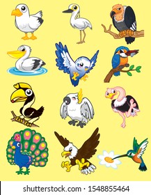 bird cartoon set  animal cartoon set	
