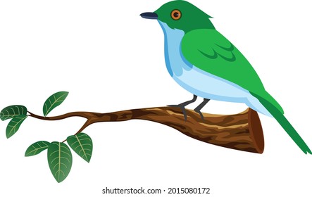 Bird cartoon vector art and illustration