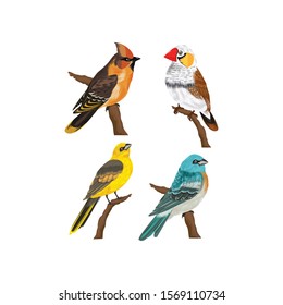 Bird cartoon vector icon set on a white background