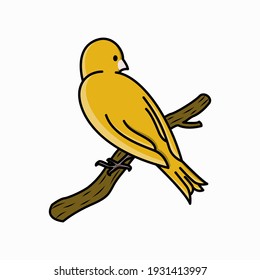 bird cartoon vector illustration. canary bird. animal hand-drawn style