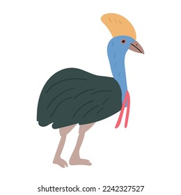 Bird. Cassowary. Vector hand drawn illustration. 