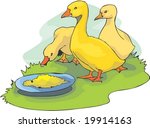 Bird Character