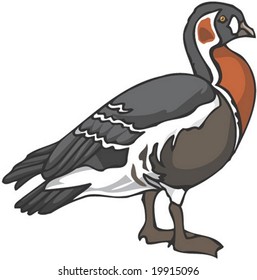 Bird Character