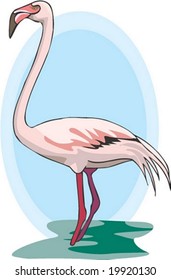 Bird Character