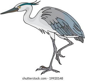 Bird Character