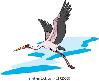 Bird Character
