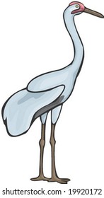 Bird Character