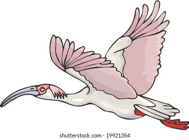 Bird Character