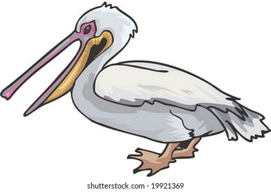 Bird Character
