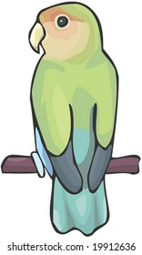 Bird Character - isolated on white background : vector illustration