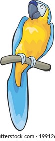 Bird Character - isolated on white background : vector illustration