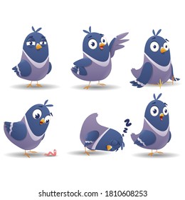 Bird character set. Cartoon pigeon bird with different poses and emotions isolated on white background. Color Illustration of bird. Animal vector illustrations