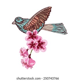 Bird with cherry blossoms on white background