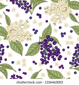 Bird cherry flowers and berries seamless pattern. Hand drawn bird-cherry summer bunches on white background. Vector illustration.