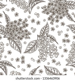 Bird cherry flowers and berries seamless pattern. Hand drawn bird-cherry summer bunches in black and white colors. Vector illustration.