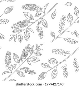 Bird cherry line vector seamless pattern with branches, leaves and berries color hand drawn illustration. Isolated on white background.
