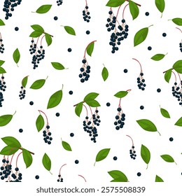 Bird cherry on a white background. Seamless pattern. Bunch of bird cherry with leaves, black berries. Flat style. Berry background for paper, gift wrap, textile, card, wallpaper.