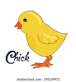 Bird chick vector illustration
