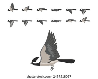 Bird Chickadee Flying Animation Sequence Cartoon Vector