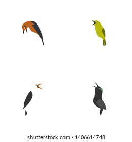 bird chirp design logo vector