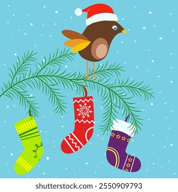 A bird in a Christmas cap on a fir branch, socks with gifts hanging