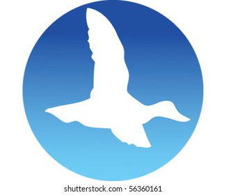 Bird circle blue