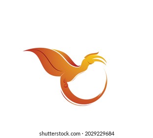 bird circle logo design template
