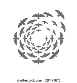 bird circle vector design template