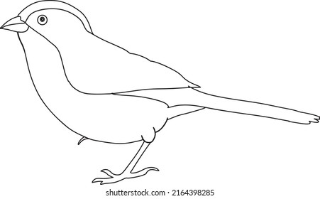 Bird Clip Art , Black And White Line Art, Coloring Page, Simple Finch Bird