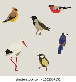 bird clip art set-hand drawn bird breeds-digital PNG vector-cute animals Pets-business clip art collection-stickers-living room clipart SVG svg