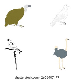 Bird clip art, vector graphics, "needs attention" warning labels.