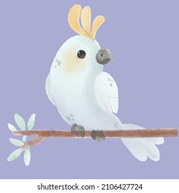 bird cockatiel animal nature vector