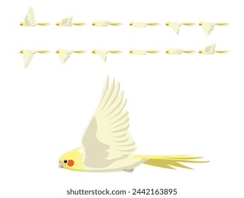 Bird Cockatiel Parrot Cockatoo Lutino Flying Animation Sequence Cartoon Vector