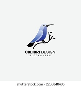 bird colibri design gradient colorful