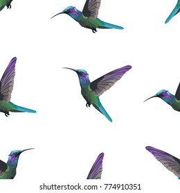 bird colibri fly art pattern