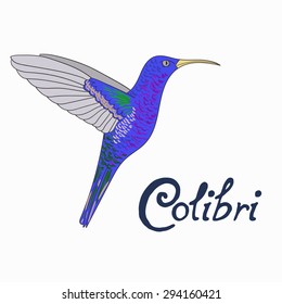 Bird colibri vector illustration