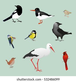 Bird collection