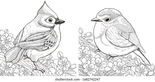 Bird collection. Coloring pages. Two birds sitting on cherry blossoming tree branch. Line art design for adult or kids colouring book in zentangle style. Vector illustration. 