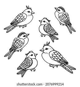 Bird collection. Collection of cute hand drawn bird doodles. Black on white vector set