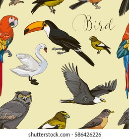 Bird collection pattern