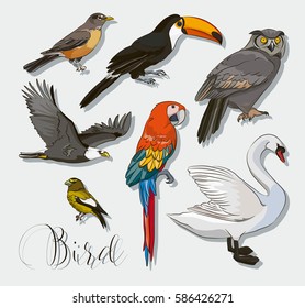 Bird collection set