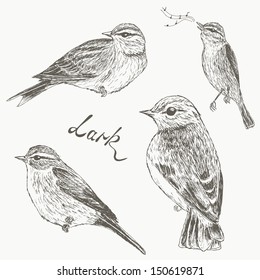 Bird collection. Set of sketch lark. Hand draw.